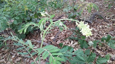 Photos of 태조산