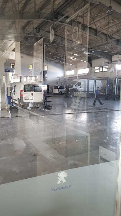 Photos of Peugeot Showroom Lawn Service