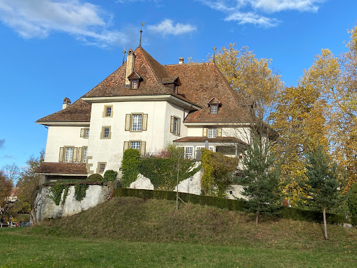 Münsingen Castle - Visual