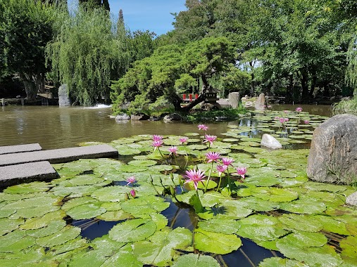 Japanese Garden, Author: Diego Alaniz