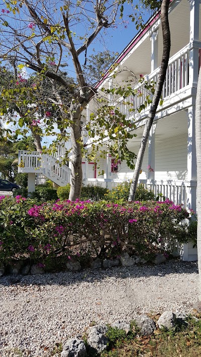 Photos of Amy Slate's Amoray Dive Resort