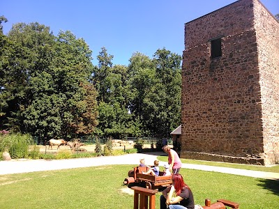 Photos of & Kloster Zoo