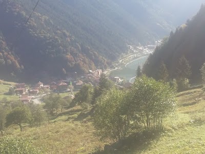 Photos of &Ouml;zt&uuml;rk Apart