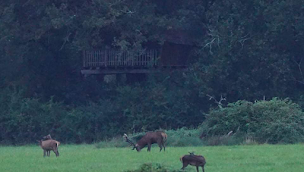 Photo n°61 de Les Cabanes de Chanteclair à Chalais (Attraction touristique)