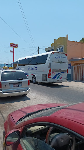 ACN Autobuses - Thumbnail