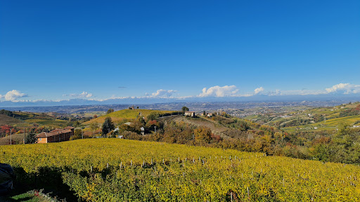 Agriturismo La Trava - Thumbnail