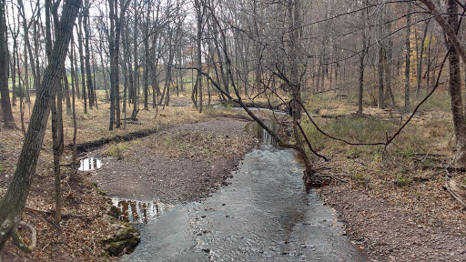 Butler Road Natural Area - Thumbnail