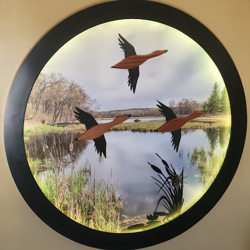 3 Ducks in Flight - Thumbnail
