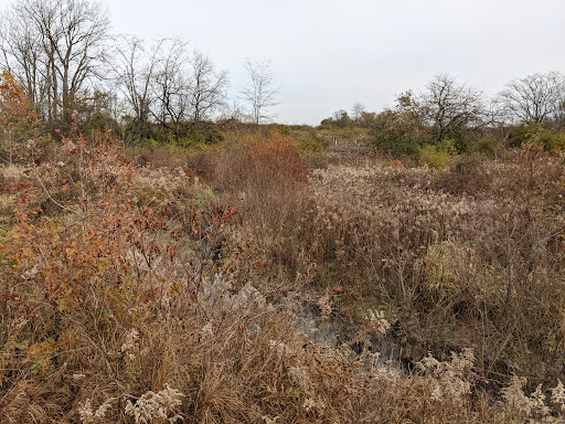 Big Darby Headwaters Nature Preserve - Thumbnail