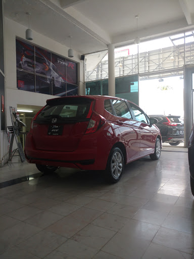 Honda Colima - Visual