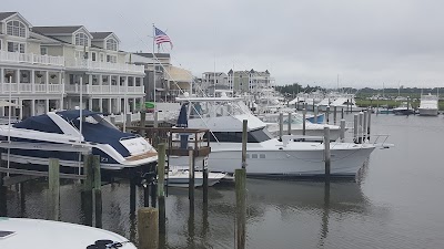 Photos of Cape May Whale Watcher