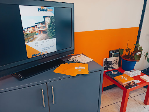 Primalux - Visual