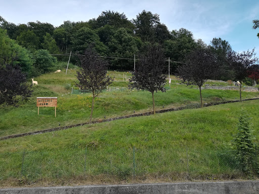Vittoria Farm - Thumbnail