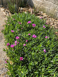 Photo n°3 de CRUZ RENOVATION à Fabrègues (Fournisseur de revêtements de sol en bois et stratifiés)