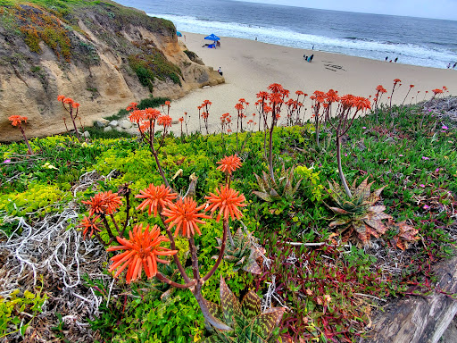 Half Moon Bay State Beach - Thumbnail