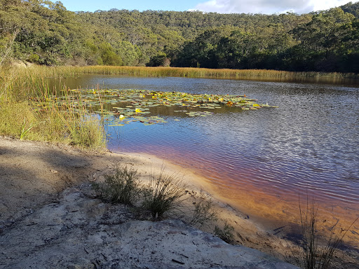 Brooklyn Dam North West Campsite