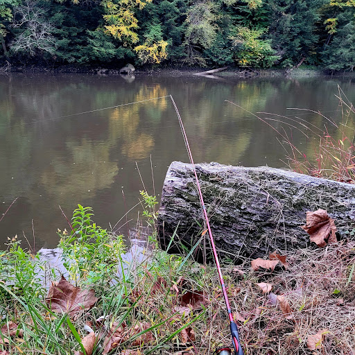 Anglers Rest Campground - Thumbnail