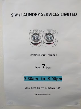 Siv's Laundry Services, Author: Ashley Colebrooke