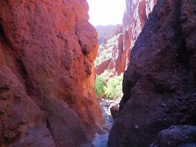 Photos of Ingemaq Grigota