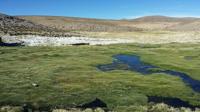 Parc national Lauca