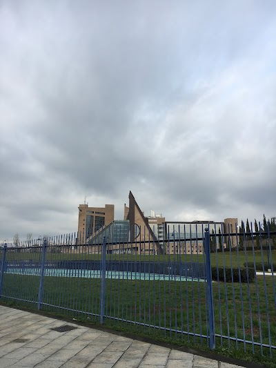 Photos of University of Florence - School of Law