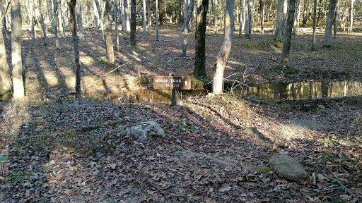 Story of the Forest Trailhead - Thumbnail