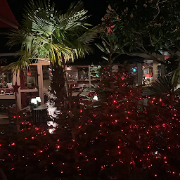 Photo n°19 de Restaurant l'Arrosoir à La Trinité-sur-Mer (Restaurant méditerranéen)