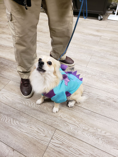 Cheap Shots, Second to None Pet Services - Veterinarian & Animal Hospital Gallery - United States