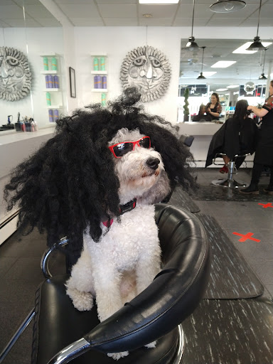 Vanessa Hair Salon - Thumbnail