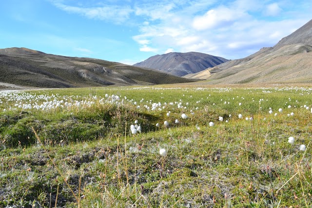Parc national Quttinirpaaq