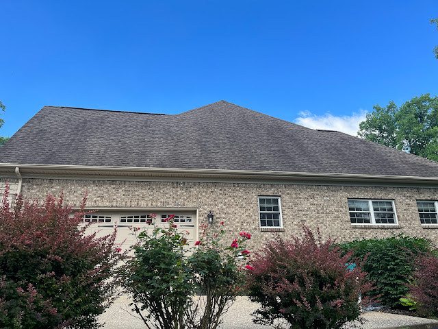 Alpha Pro Exterior Cleaning