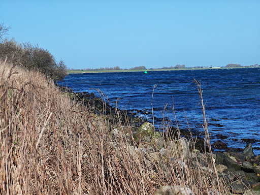 De Punt Wandelroute Gallery - Netherlands