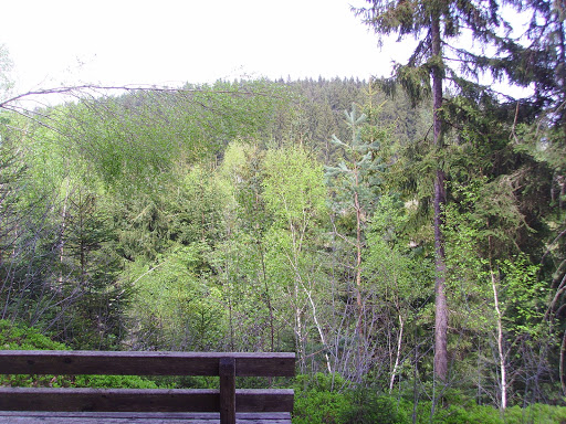 Monte-Denkmal - Visual