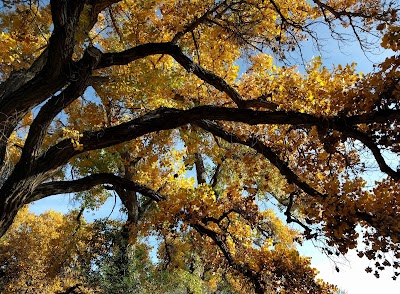 Rio Grande Nature Center State Park