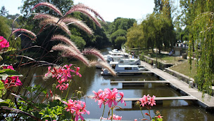 Photo n°4 de La Mairie de la Gacilly à La Gacilly (Administration municipale)