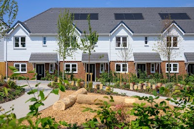 Foal Hurst Green by Berkeley