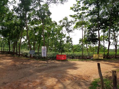Photos of Halda Valley Tea Company Ltd