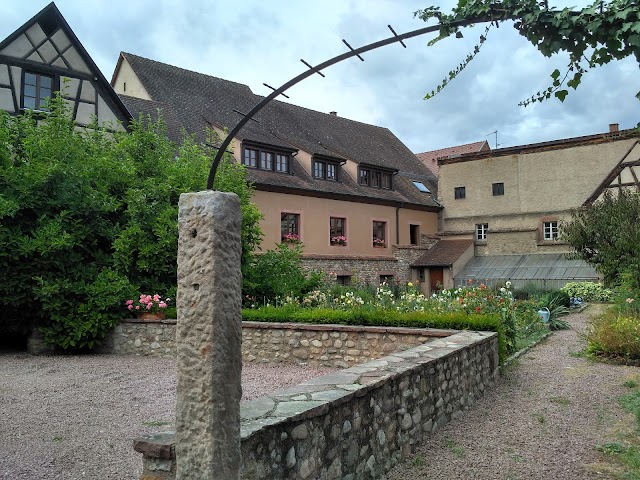 Kaysersberg-Vignoble