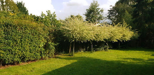 De Warmoes - Visual