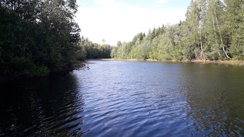Seljajärv