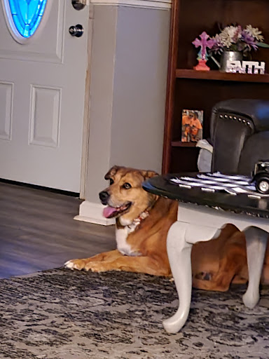Tucker Patricia A DVM - Thumbnail