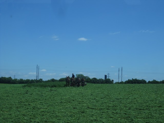 Amish