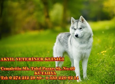 Photos of AKYIL VETERiNER KLiNiGi
