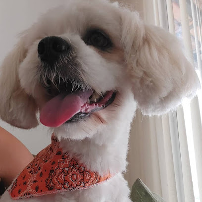 Nanda Pet Feliz
