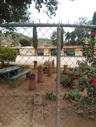 Escuela Telesecundaria Trinidad de Viguera - Thumbnail