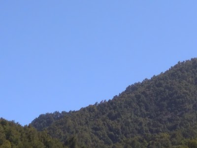 Photos of Fundo Los Lilenes