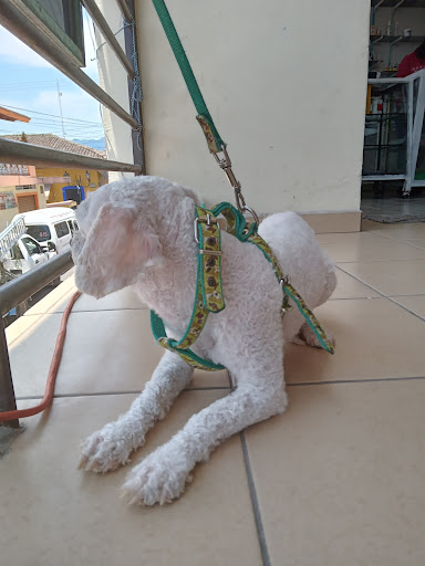 Clinica Veterinaria Sucupira
