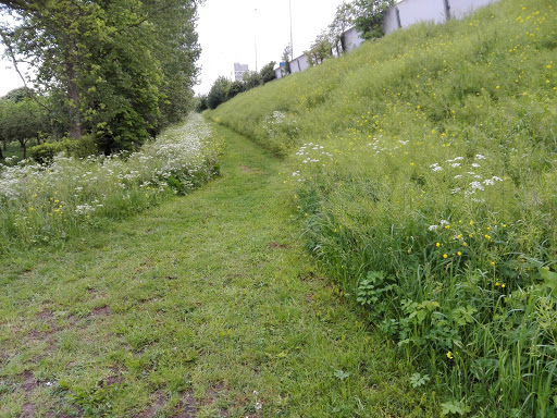 Groen wandelpad langs de A15 Logo