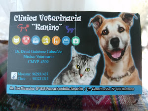 Clínica Veterinaria Kanino 0