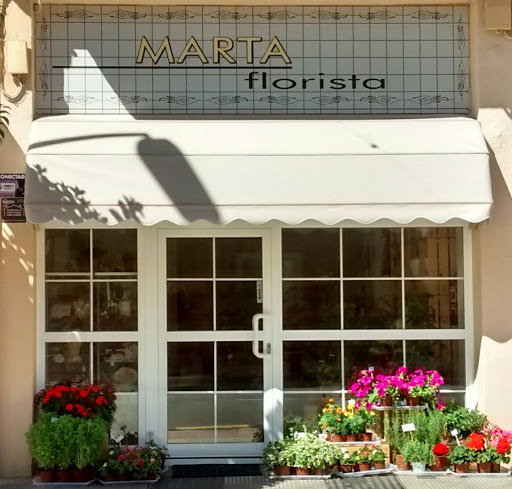 Marta Florista - Visual